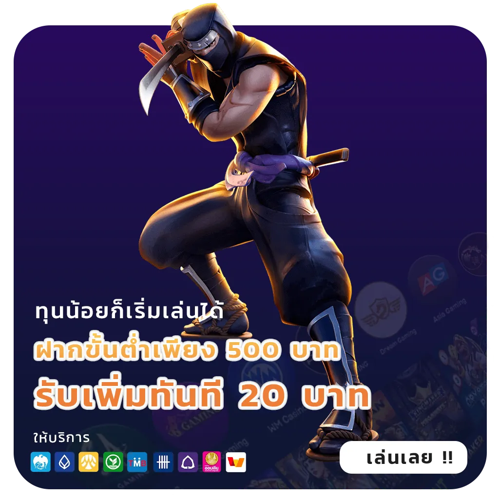 เว็บสล็อตโปรรายวัน
